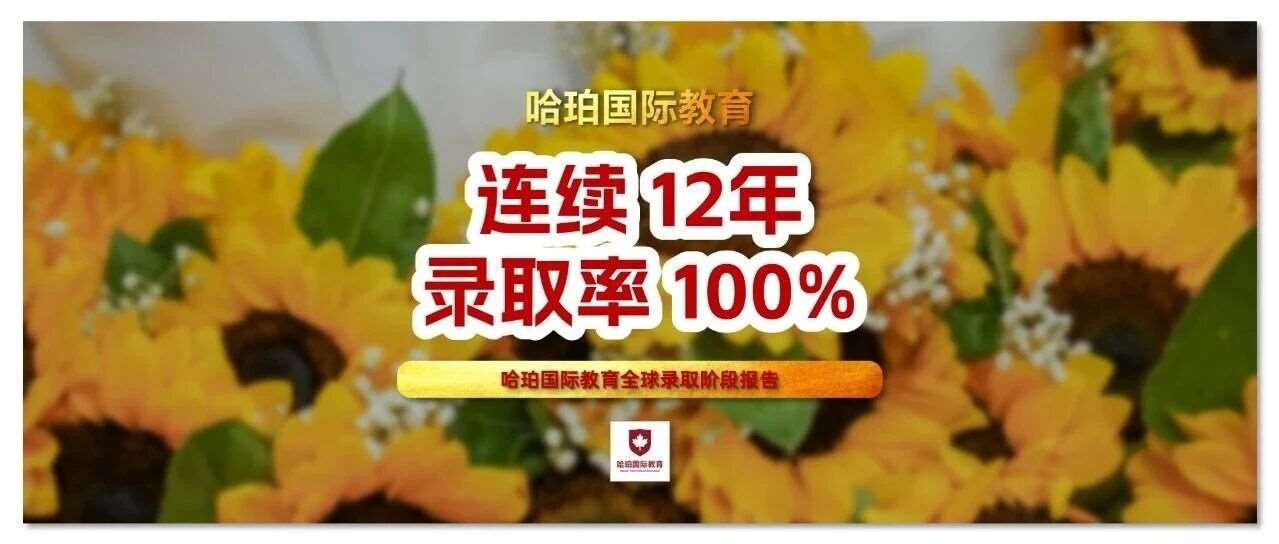 哈珀国际教育连续12年录取*达成