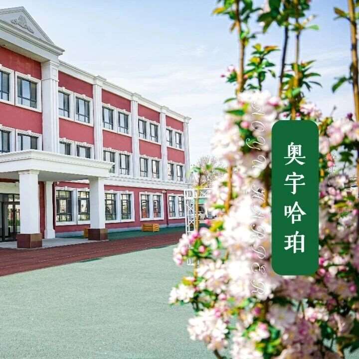 私たちの学校へようこそ！