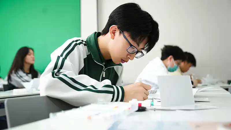 活动