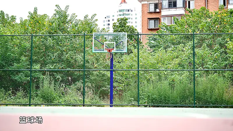 校园环境