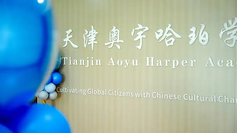 活动