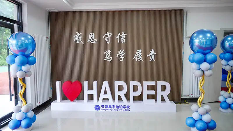 活动