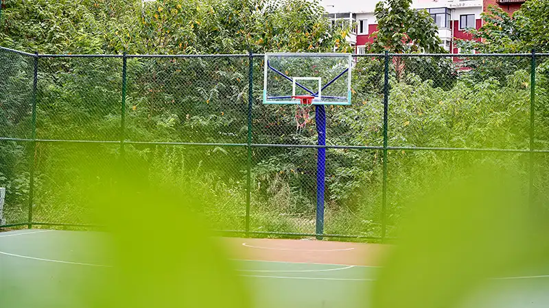 校园环境