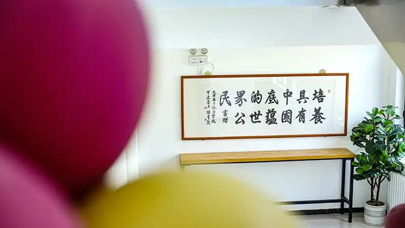 活动
